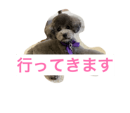 845860286