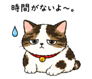 845860315