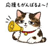 845860325