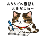 845860326
