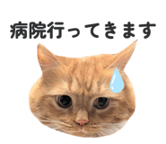 845860379