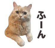 845860387