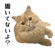 845860390