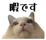 845860409