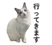 845860413