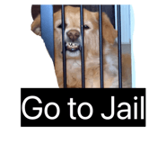 845871434