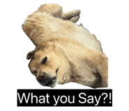 845871437