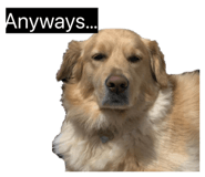 845871444