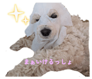 845872078