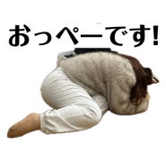 845872254