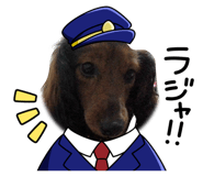 845872672
