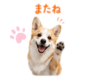 845873277