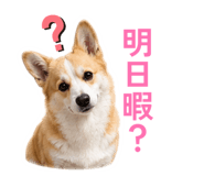 845873283