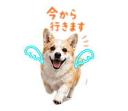 845873284