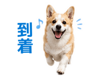 845873285