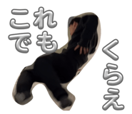 845873357
