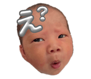 845873527