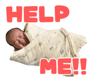 845873623