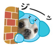 845873653