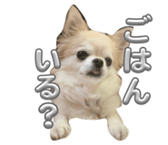 845874129