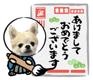 845874134