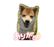845874392