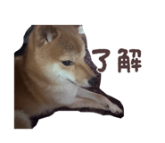 845874396
