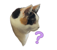 845874400