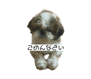 845874605