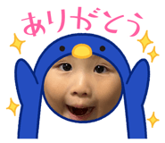 845874706