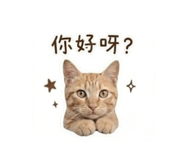 845875105
