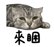 845875493