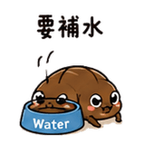 845875544
