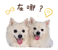 845875859