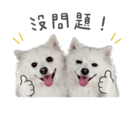 845875864