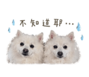 845875869