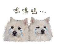 845875870