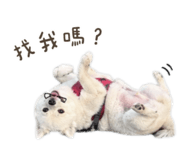 845875881