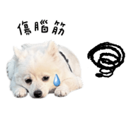 845875885