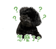 845876269
