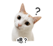 845876479