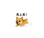 845876706
