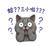 845876813