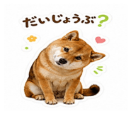 845876843