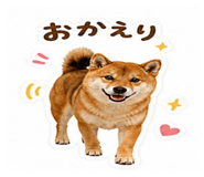 845876847