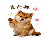 845876848