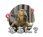 845877176