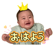 845877828