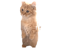 845878298