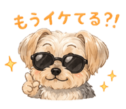 845878447